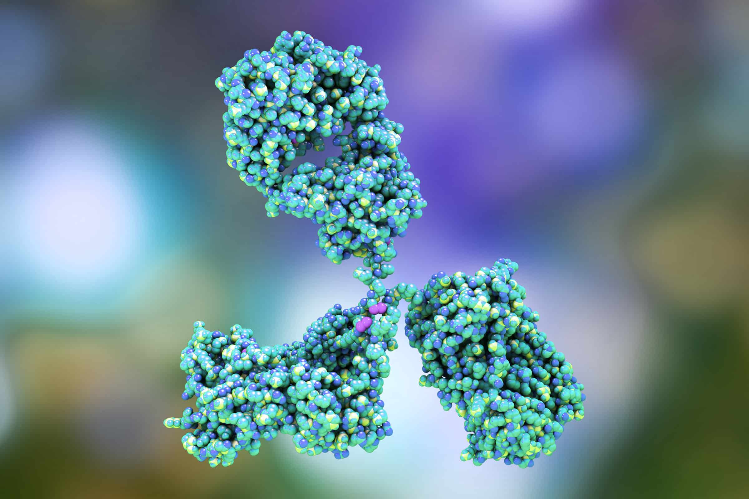 Pivotal Scientific Antibody