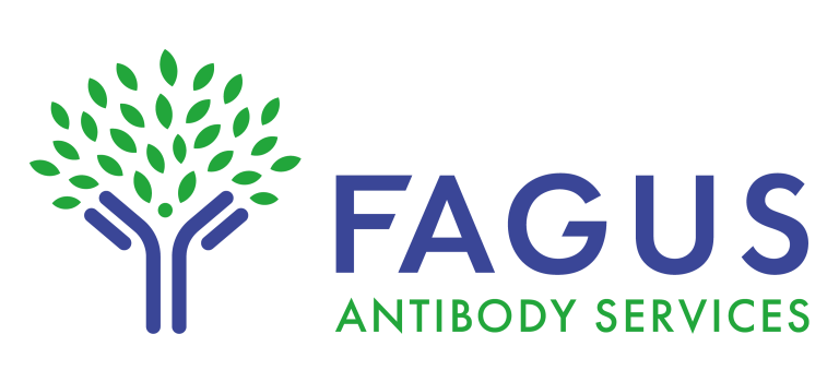 Fagus Antibodies