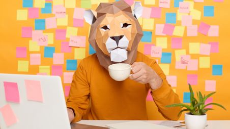 Lion Website