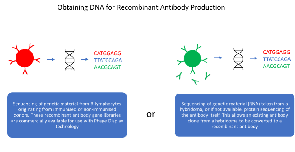 Obtaining Dna