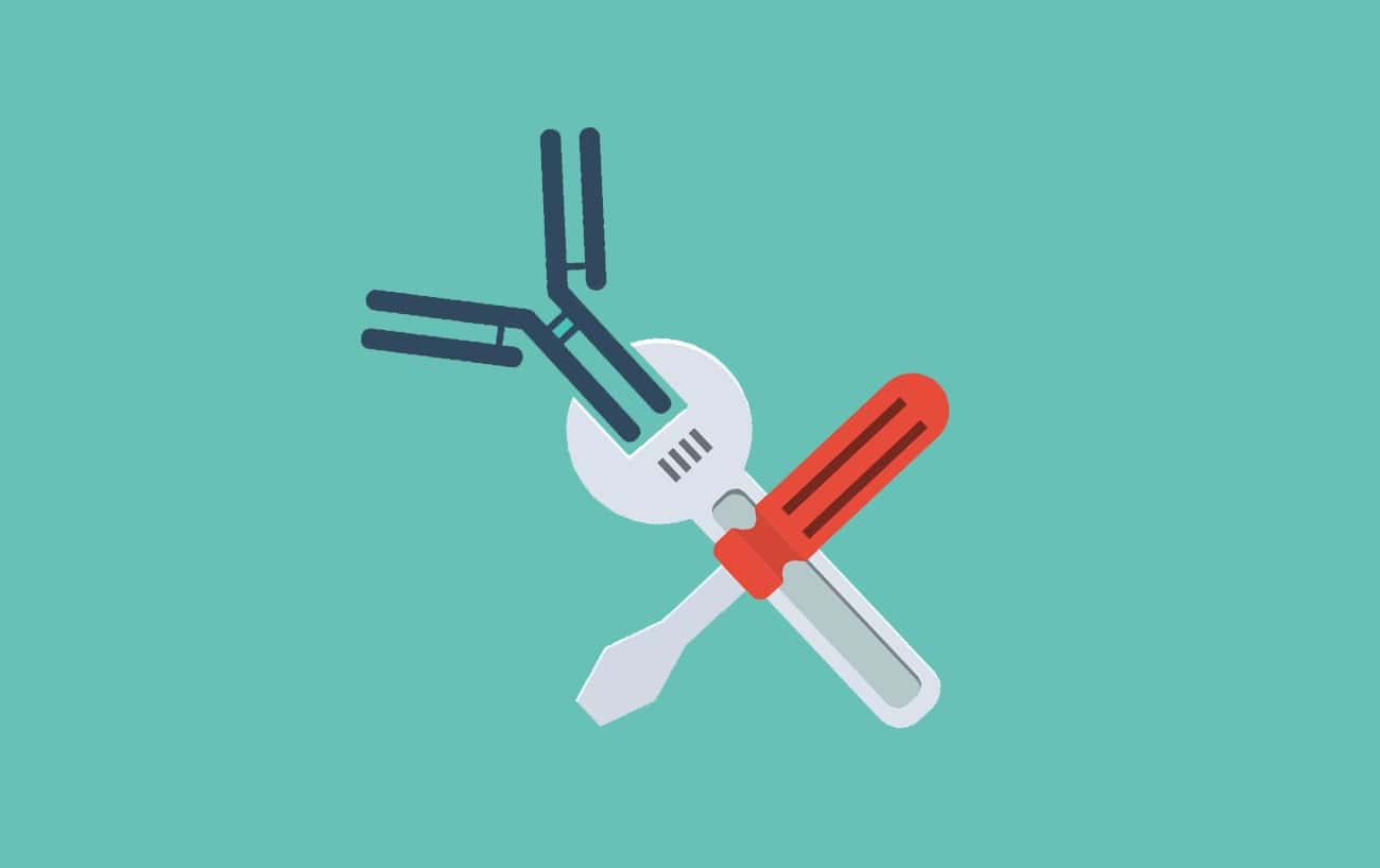 Antibody Engineering Recombinant Antibodies