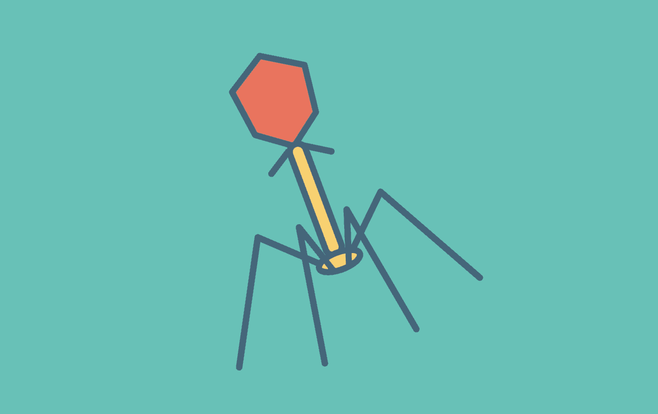 Bacteriophage