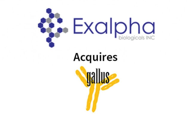 Exalpha Biologicals, Inc. Announces Acquisition of Leading Producer of Egg-Derived Antibodies Gallus Immunotech Inc.